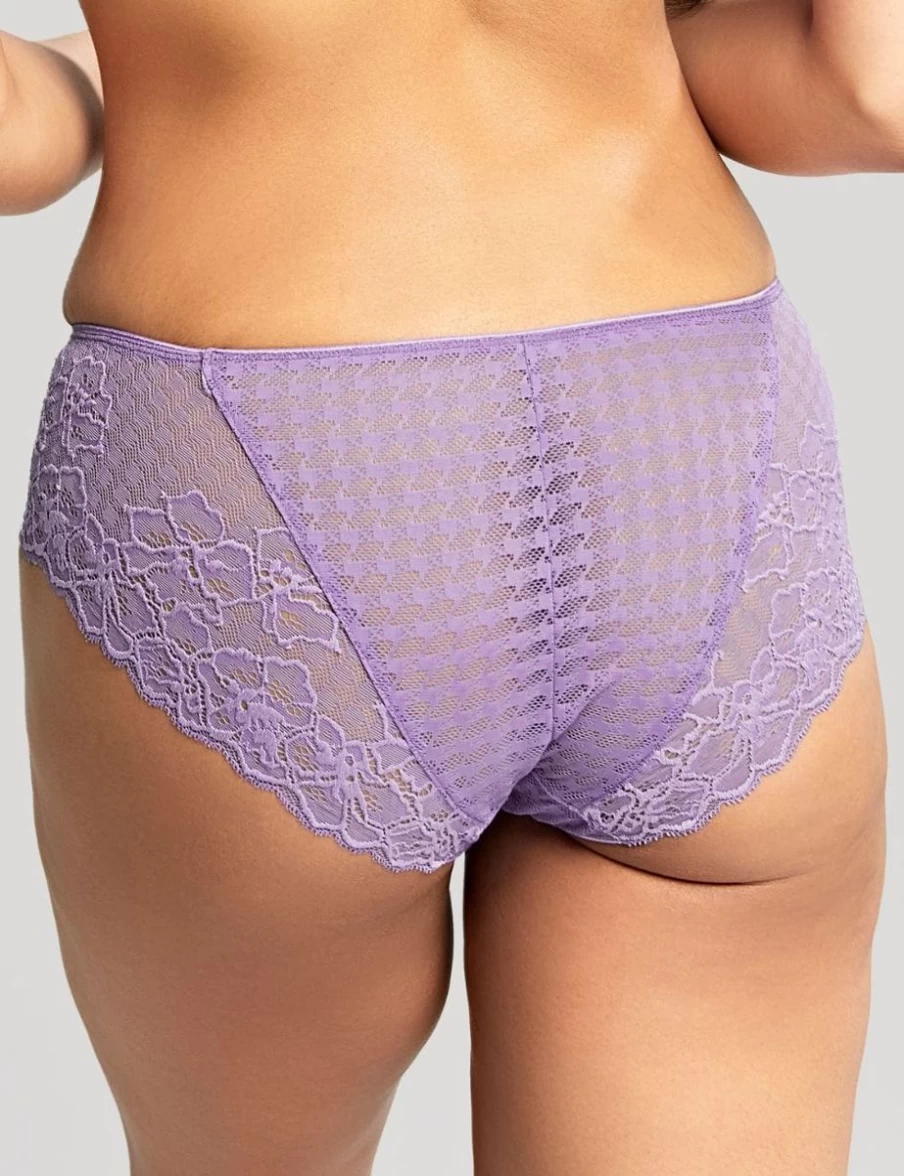 Panache Envy Full Coverage Underwire Bra in Violet - Supportive Brief Style