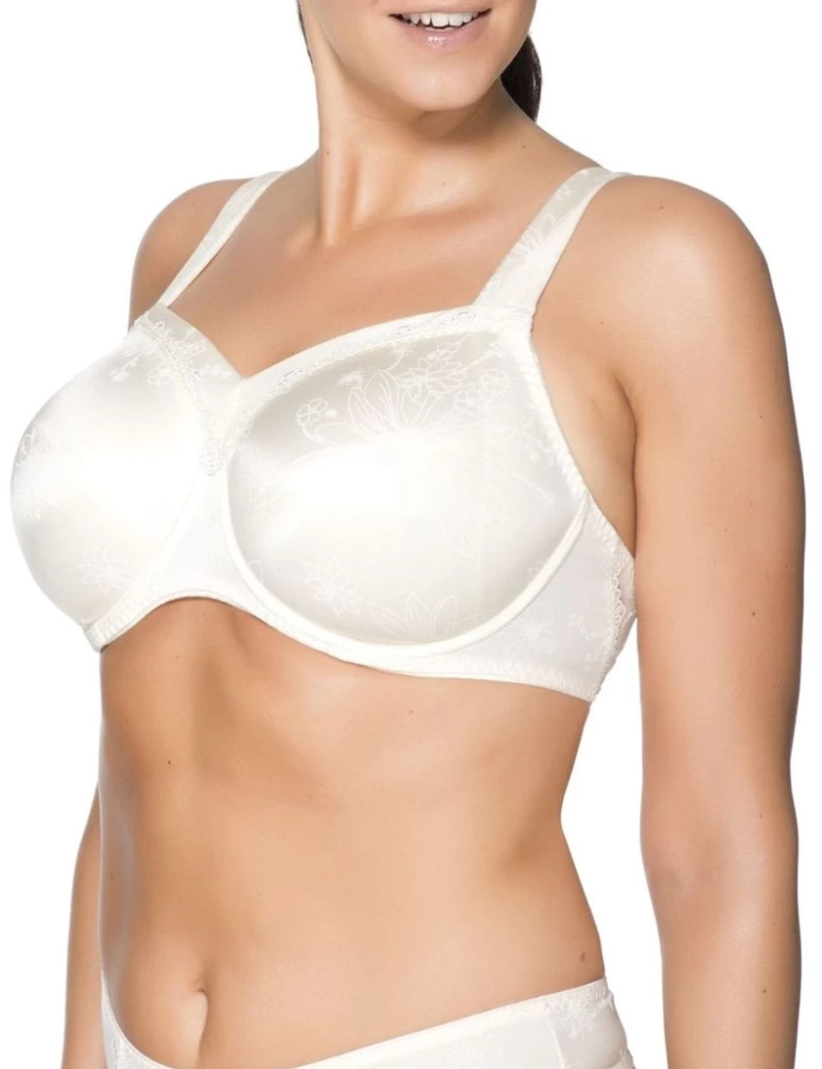 "Ulla Viola Underwire Bra with Supportive Panel in Champagne Color"